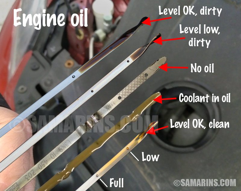 How to Tell If Your Oil is Bad - Mudflap Fuel Discount Guide